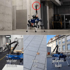 ETH Zurich Robot Dog Throw Ball