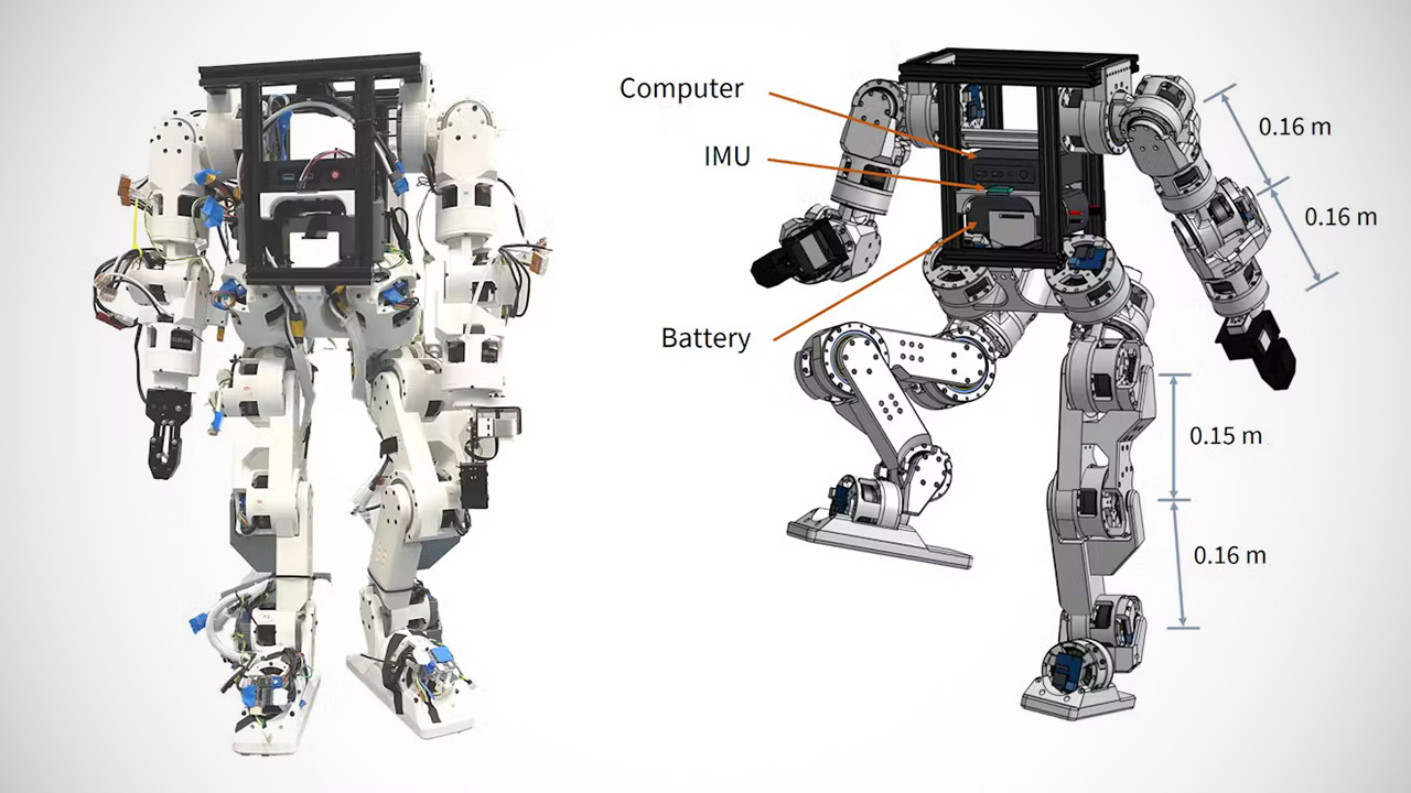 Berkeley Humanoid Lite 3D-Printed Robot