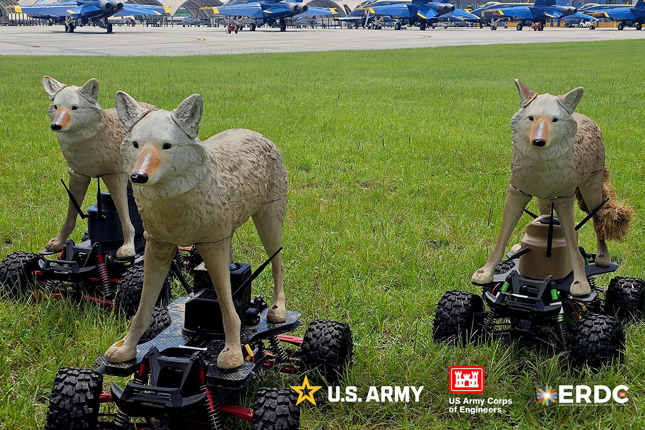 US Army Robot Coyotes