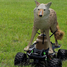 US Army Robot Coyotes