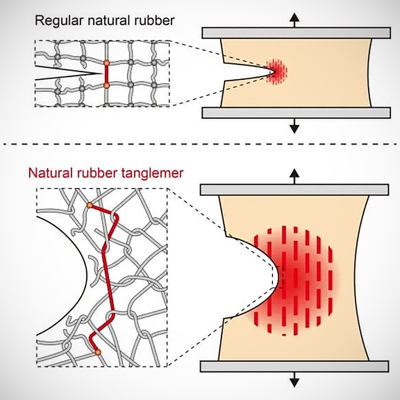 Harvard New Rubber Crack Resistant