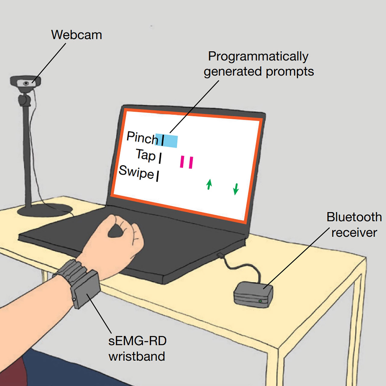 Meta Wristband Project Digital