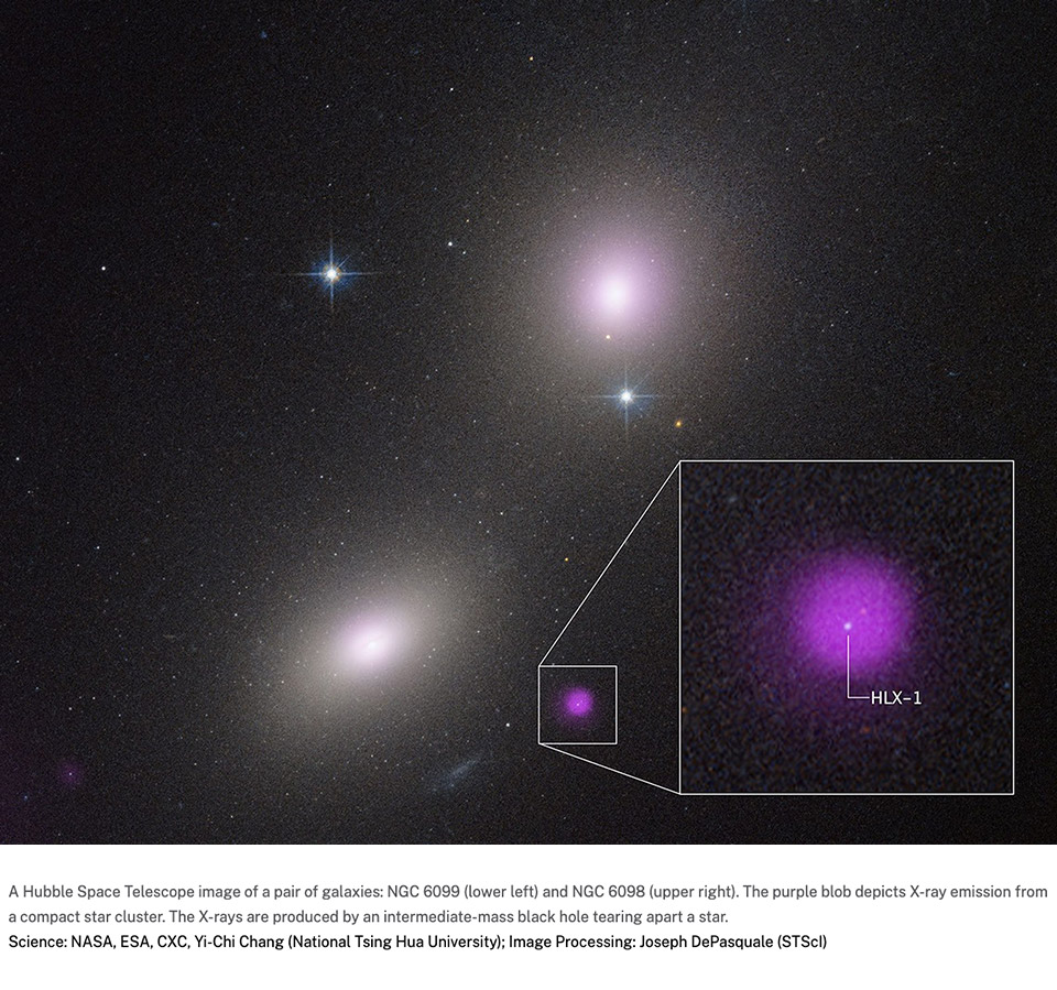 Hubble Chandra Intermediate Black Hole IMBH