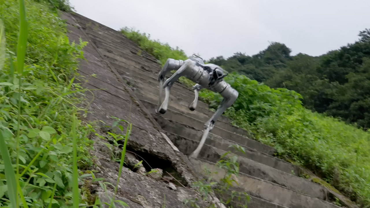 Unitree A2 Stellar Explorer Robot Dog