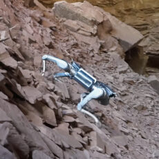 Unitree A2 Stellar Explorer Robot Dog