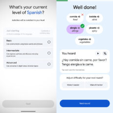 Google Translate Language Learning Duolingo