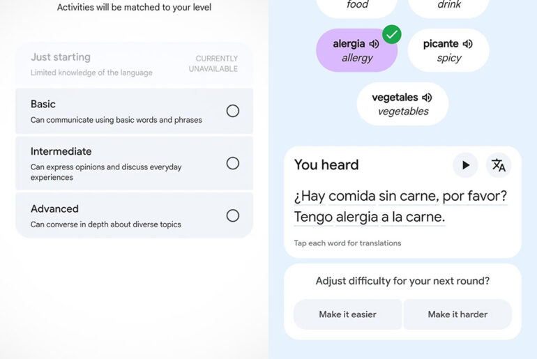 Google Translate Language Learning Duolingo