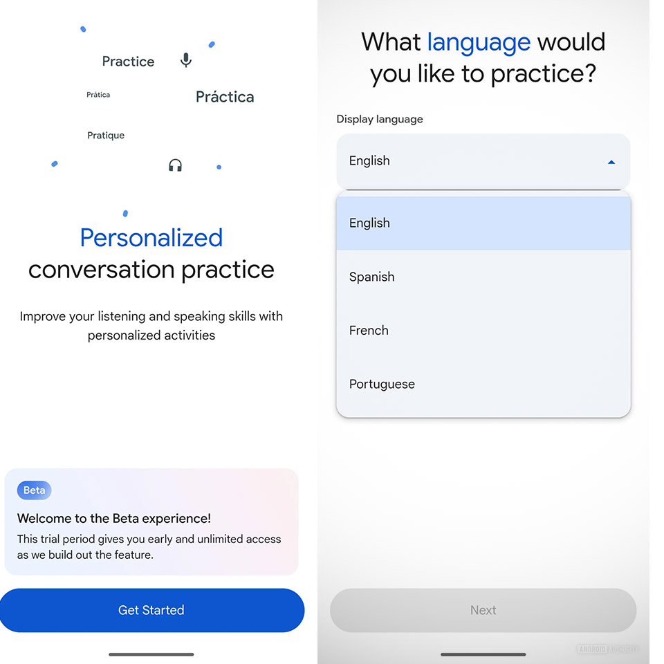Google Translate Language Learning Duolingo