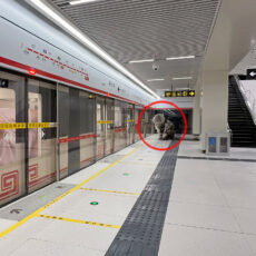 DIY Subway System Cats