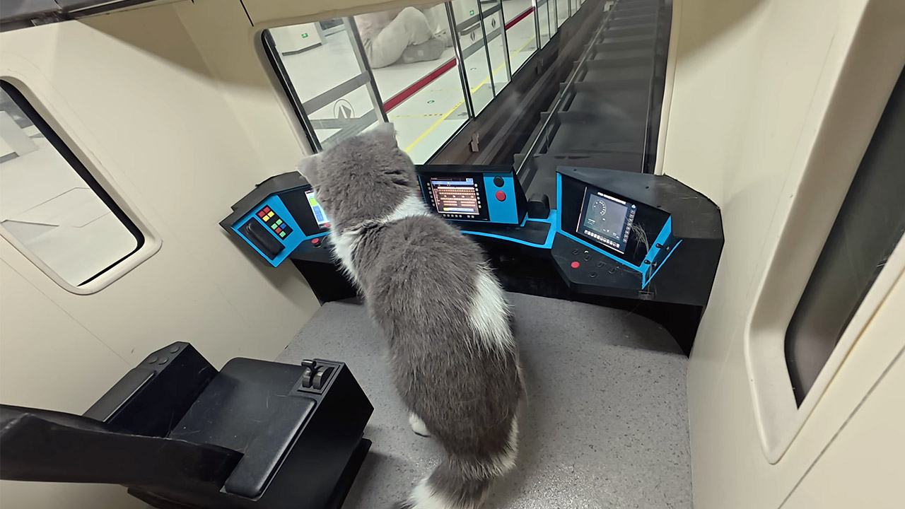 DIY Subway System Cats