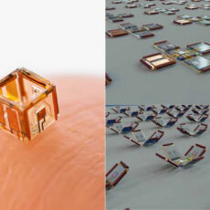 Smartlets Microrobotics Fingertip Robots