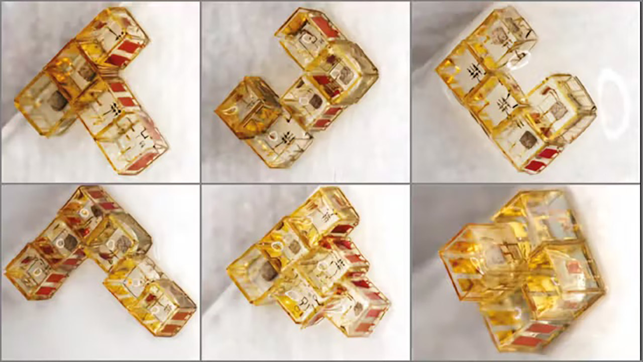 Smartlets Microrobotics Fingertip Robots