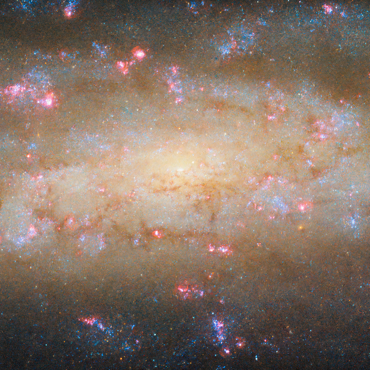 Hubble Spiral Galaxy NGC 7456 Grus