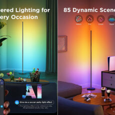 Govee RGBIC Floor Lamp Basic