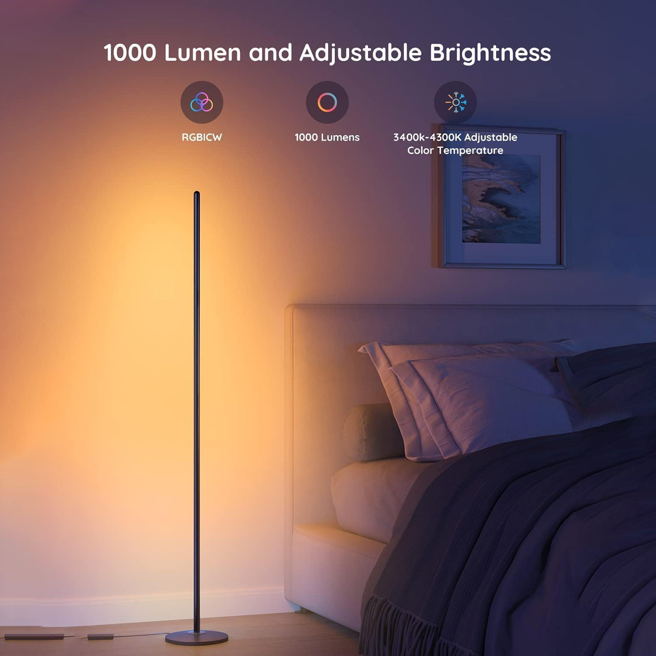 Govee RGBIC Floor Lamp Basic
