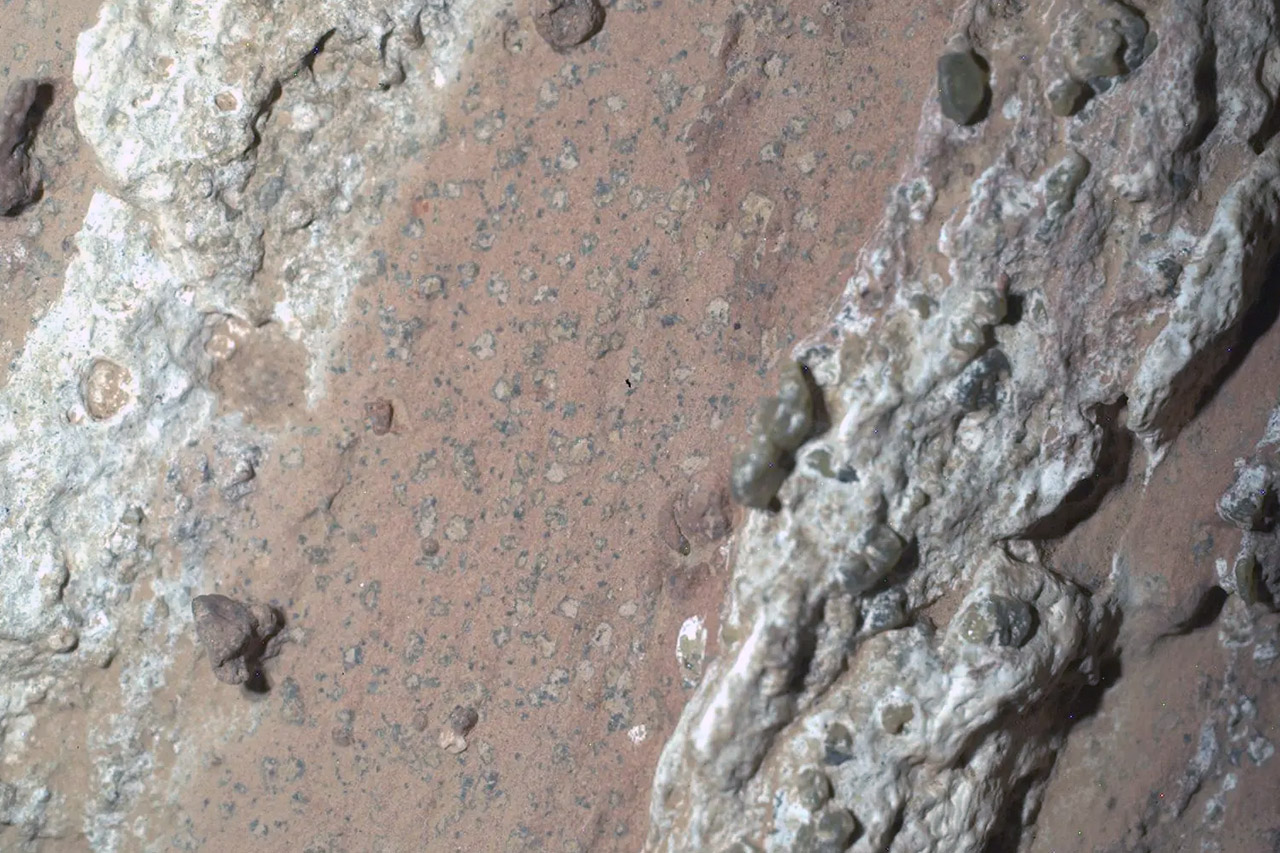 Mars Rock Sign of Life