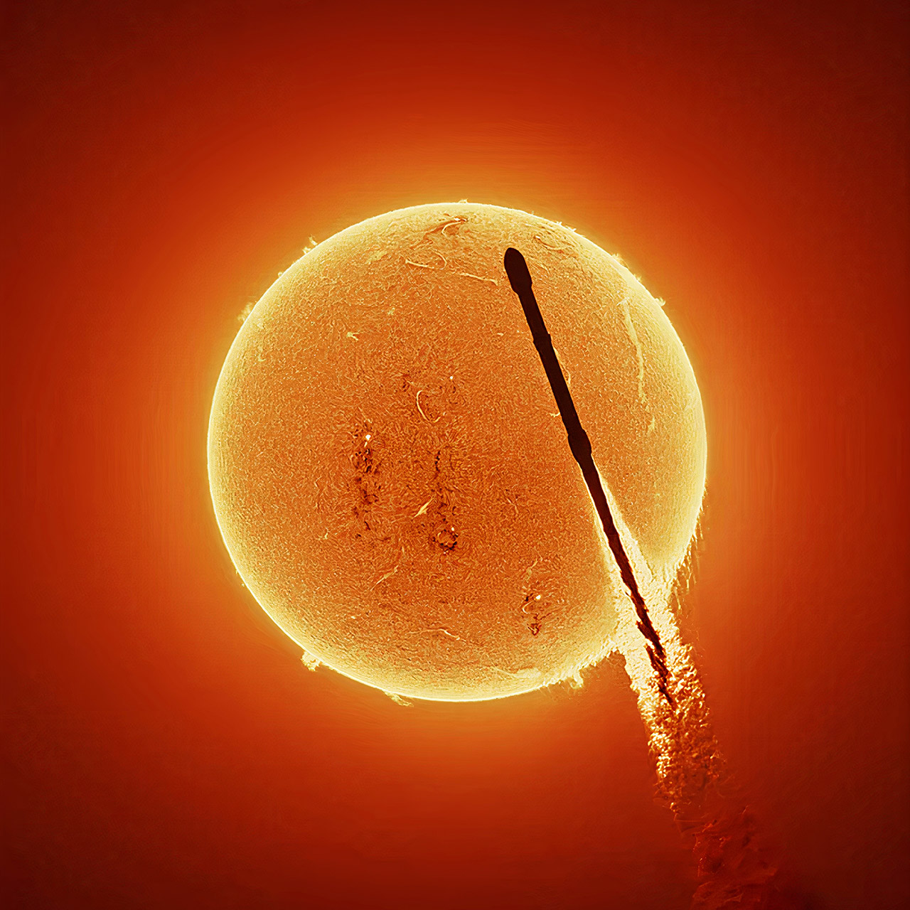 Andrew McCarthy Falcon 9 Rocket Sun