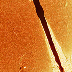 Andrew McCarthy Falcon 9 Rocket Sun