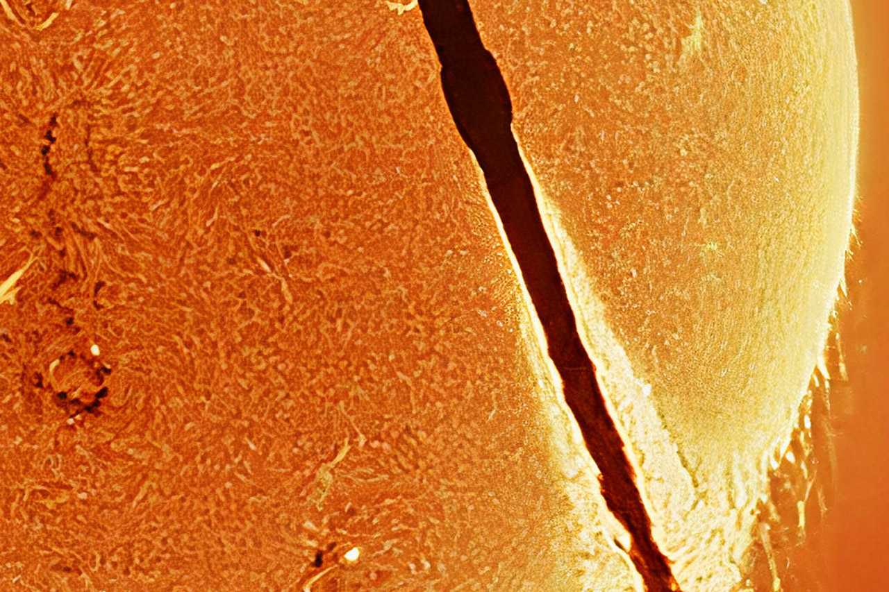 Andrew McCarthy Falcon 9 Rocket Sun
