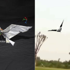 RoboFalcon2.0 Robotic Bird Wings