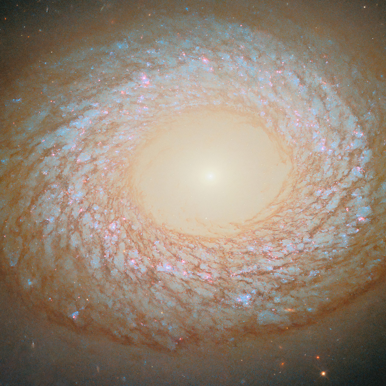 Hubble NGC 2775 Hybrid Galaxy