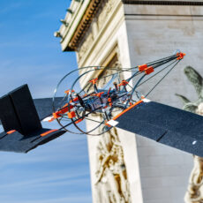 SWIFT Drone Collision-Resistant Woodpecker