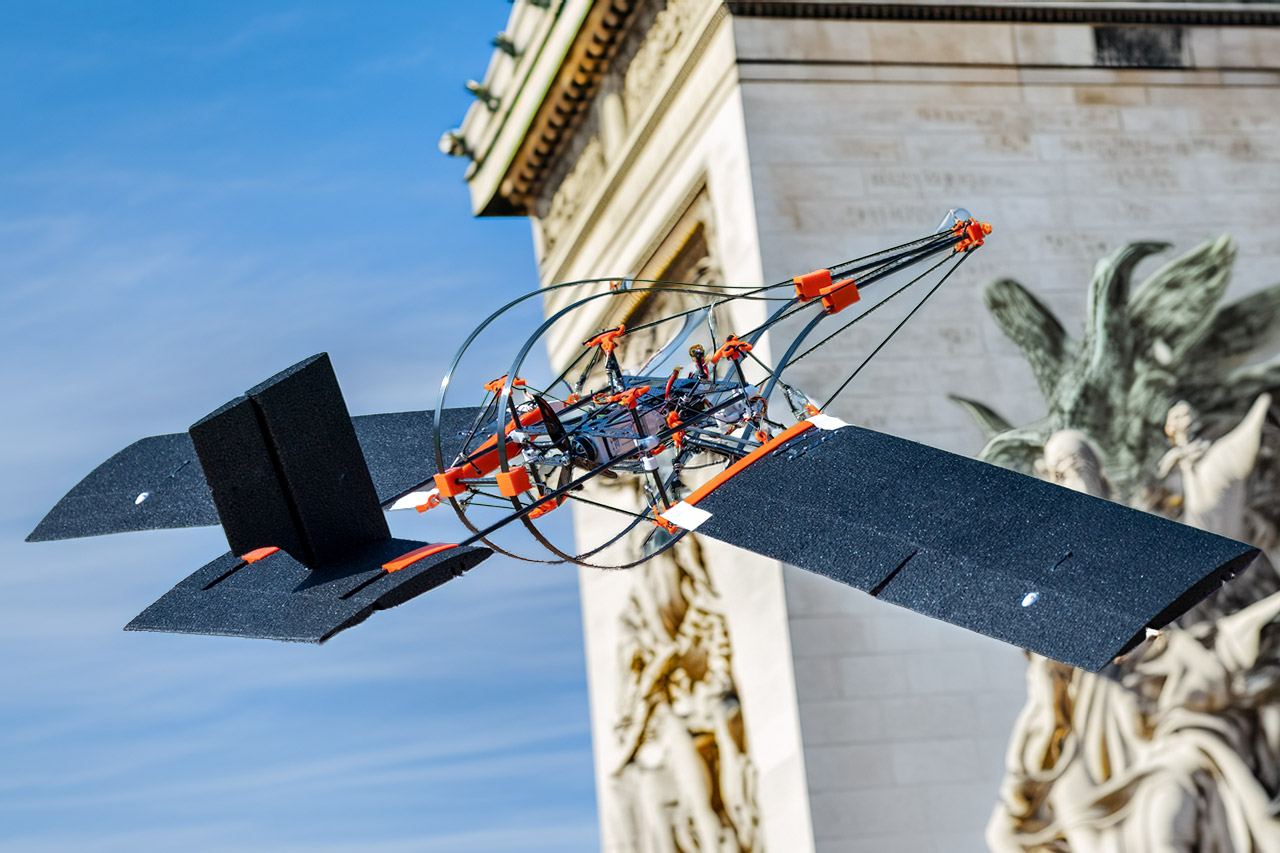 SWIFT Drone Collision-Resistant Woodpecker