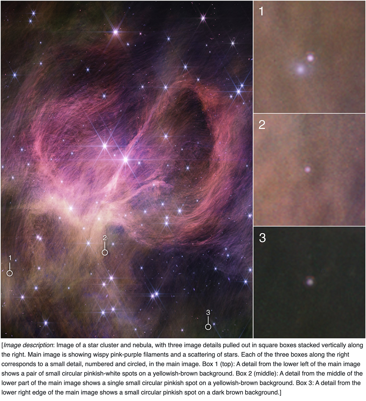 James Webb Space Telescope IC 348