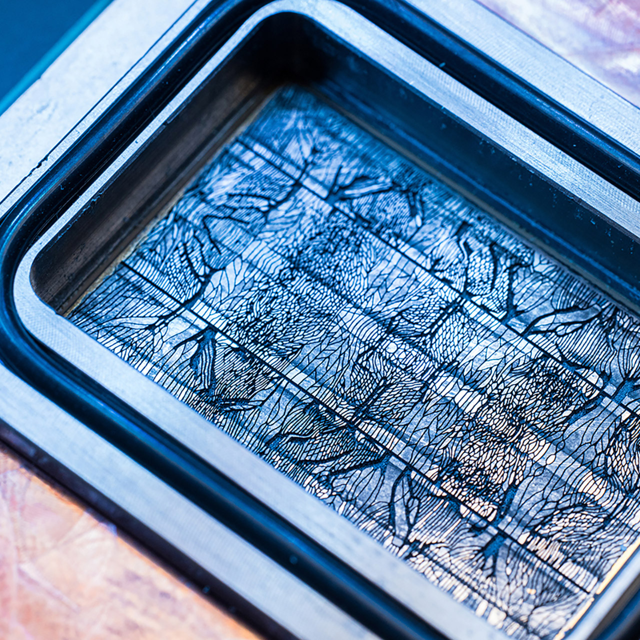 Microsoft Microfluidics Chip Cooling