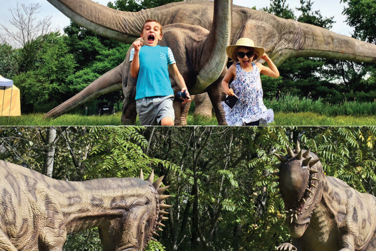 New Jersey Field Station Animatronic Dinosaurs For Sale