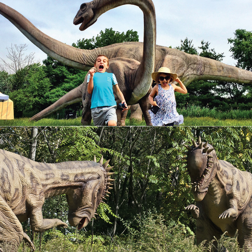 New Jersey Field Station Animatronic Dinosaurs For Sale