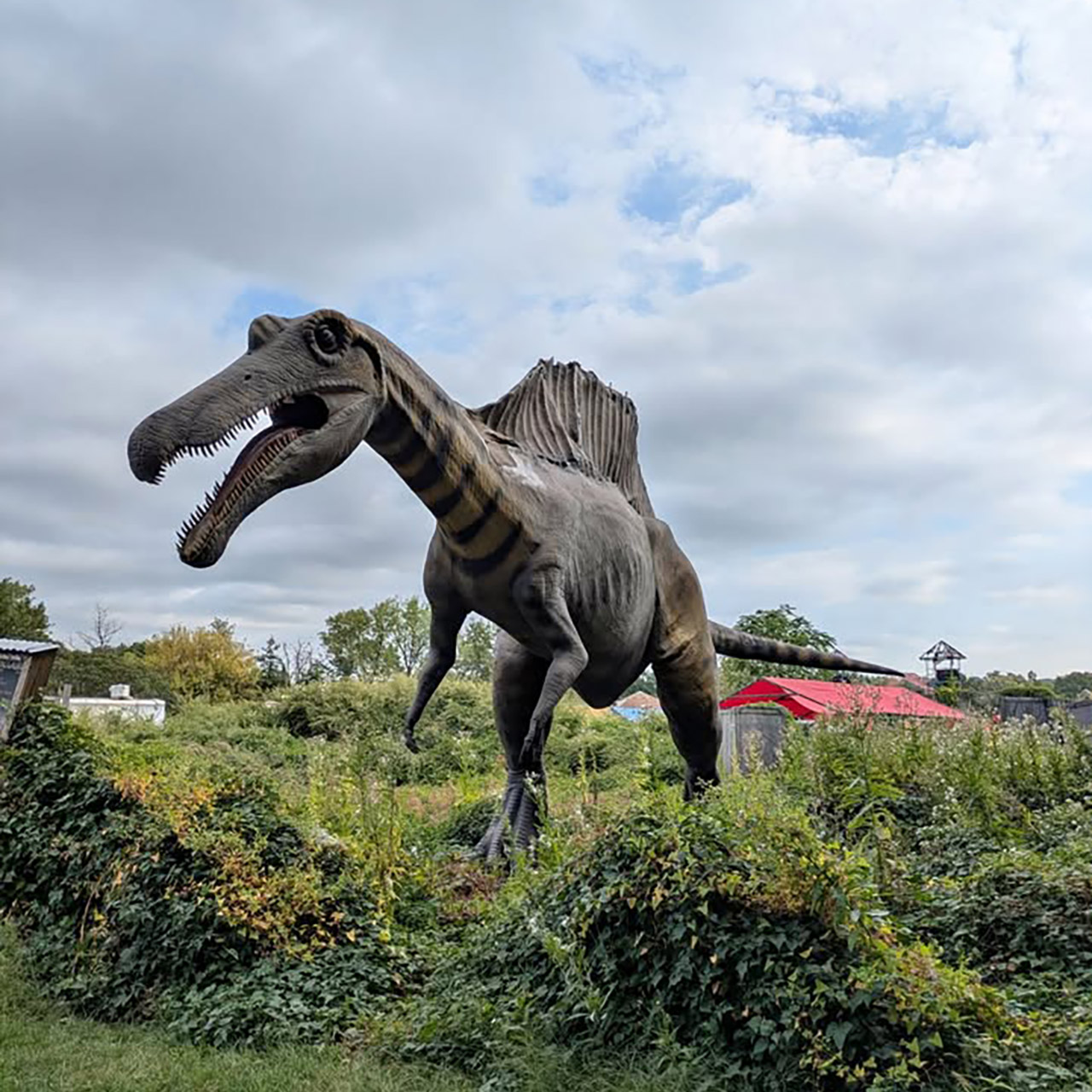 New Jersey Field Station Animatronic Dinosaurs For Sale