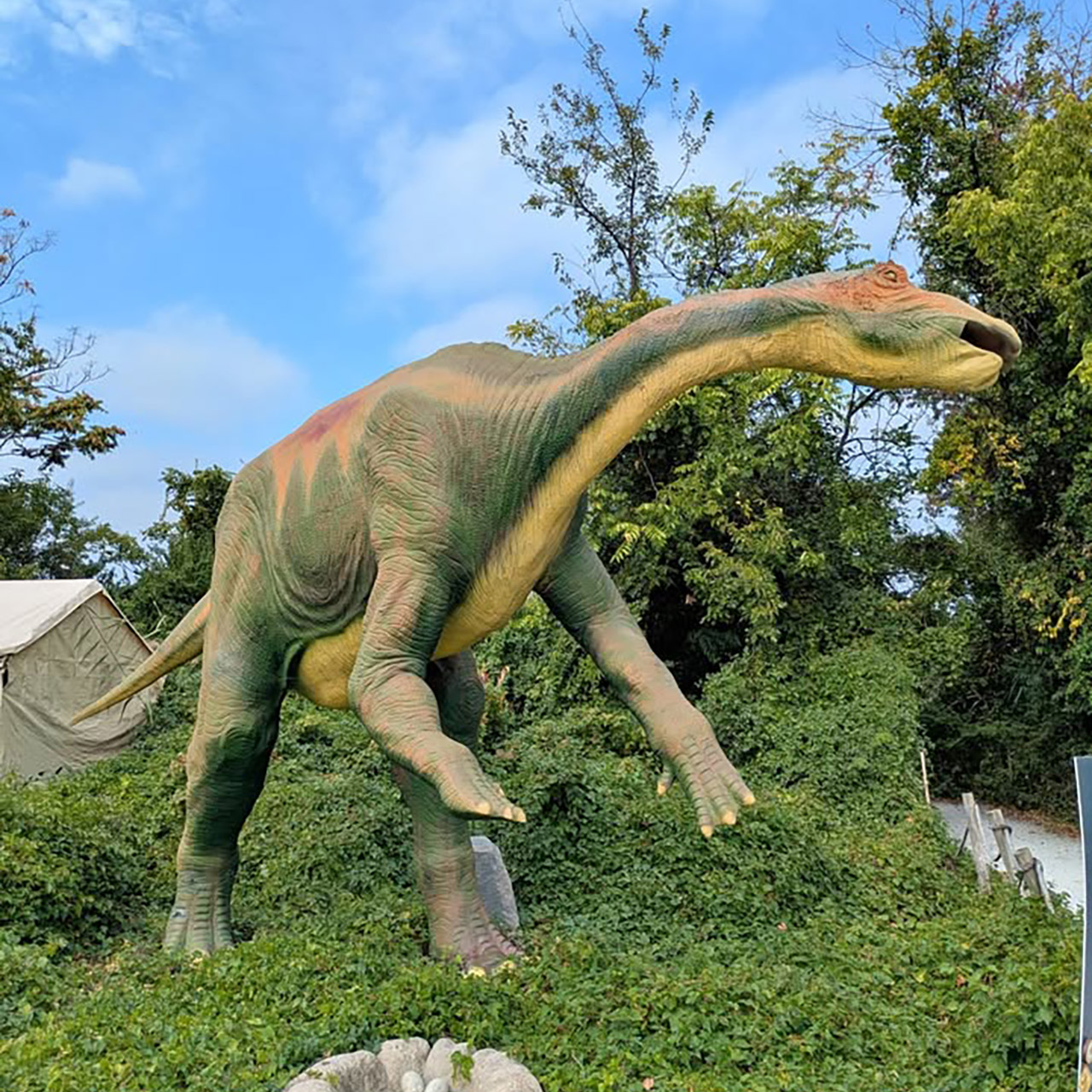 New Jersey Field Station Animatronic Dinosaurs For Sale