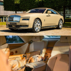 Rolls-Royce Spectre Bailey Custom Interior
