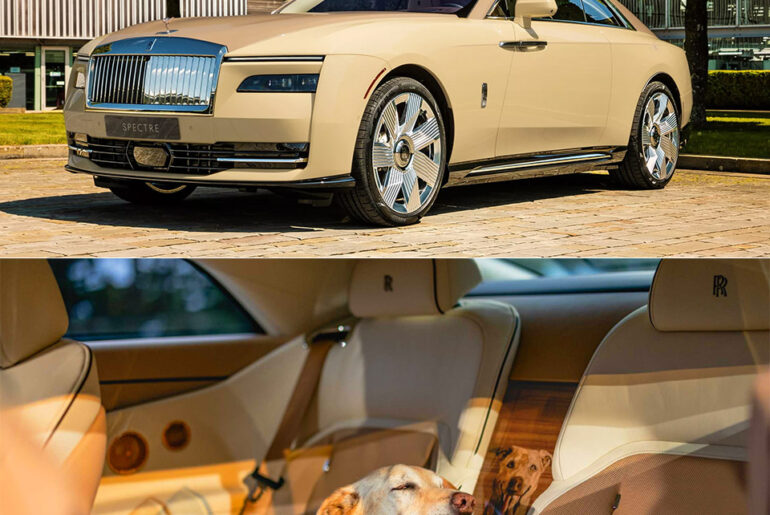 Rolls-Royce Spectre Bailey Custom Interior