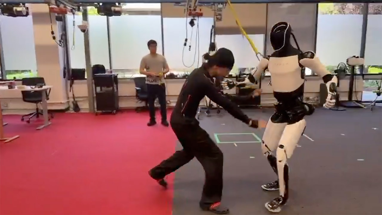 Tesla Optimus V3 Humanoid Robot AI Kung Fu Moves
