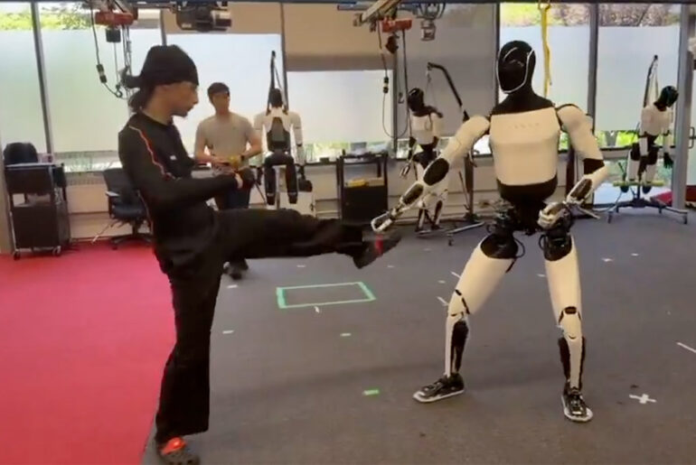 Tesla Optimus V3 Humanoid Robot AI Kung Fu Moves