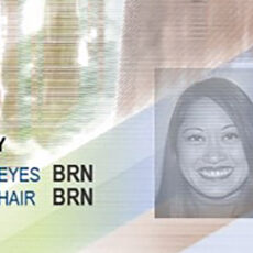 New California Driver's License Card Features 2025