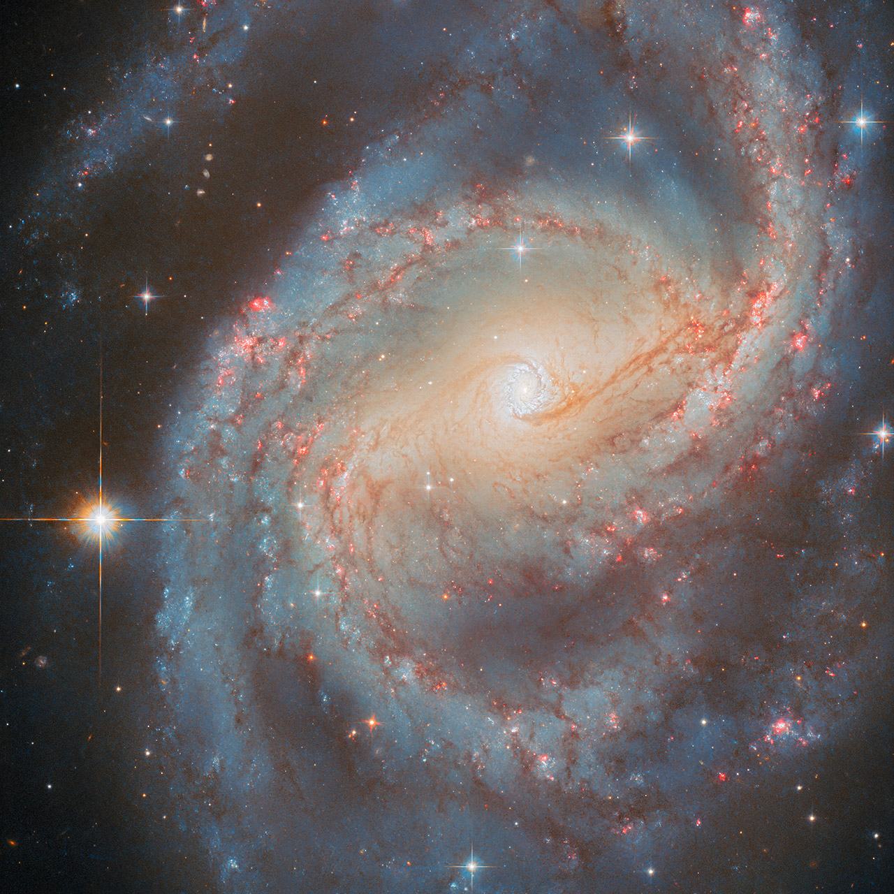 Hubble NGC 6951 Spiral Galaxy Cepheus