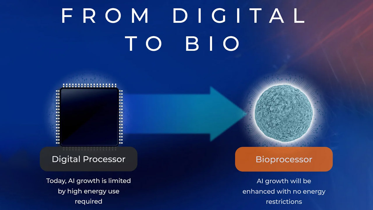 Final Spark Human Brain Computer Biocomputing