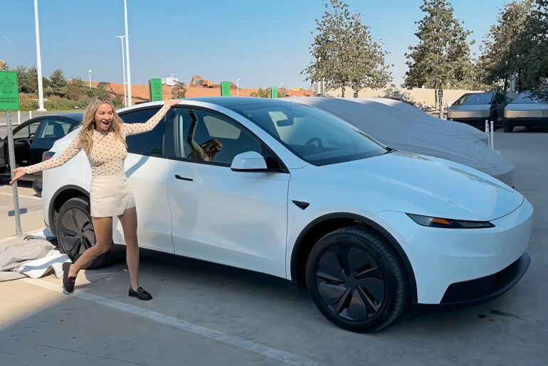 Tesla Model Y Standard Reveal