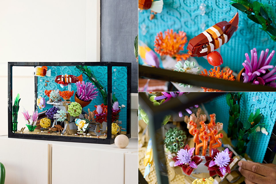 LEGO Icons Tropical Aquarium Building Set 10366