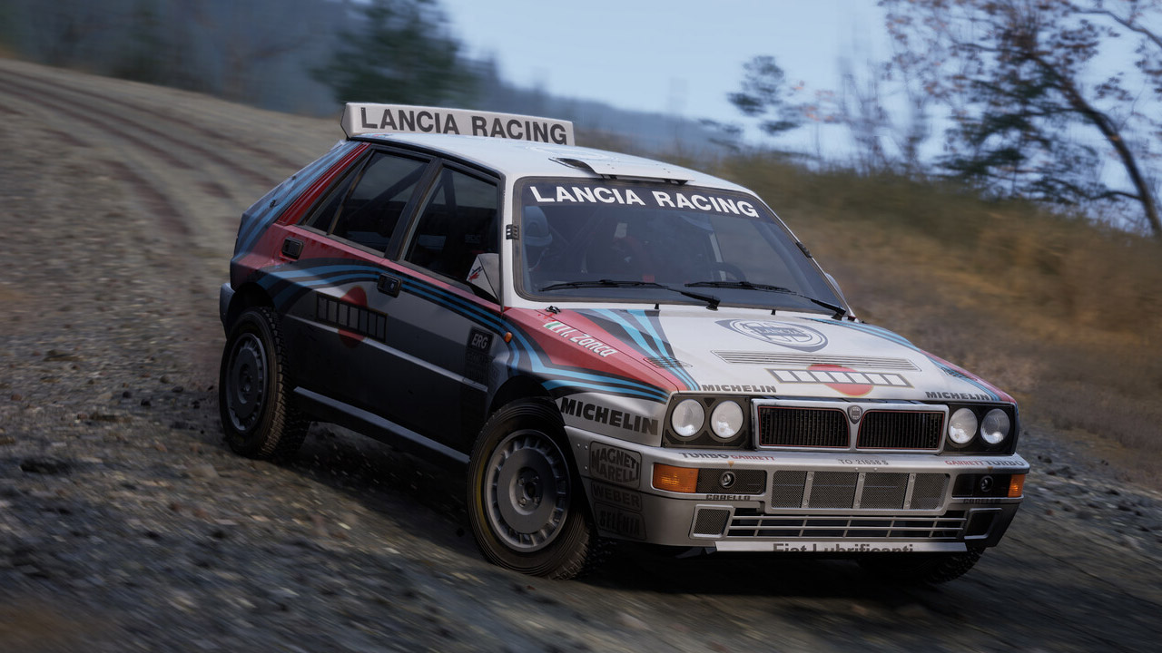 Assetto Corsa Rally Screenshot