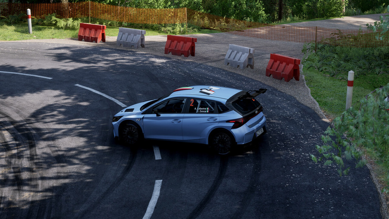 Assetto Corsa Rally Screenshot