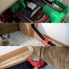 Ben Heck Automatic Canned Cat Food Dispenser Feeder