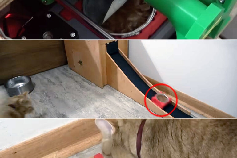 Ben Heck’s Automatic Canned Cat Food Dispenser Feeds Felines with Precision Ben Heck Automatic Canned Cat Food Dispenser Feeder