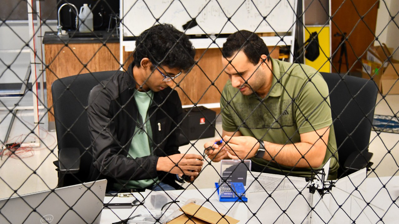 Moth-Like Flapper Drone Insect