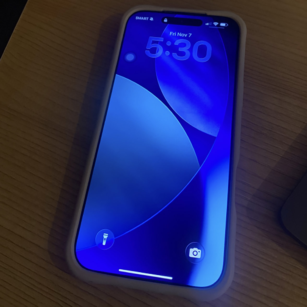 iPhone 17 Pro Max Flood Survival Disaster