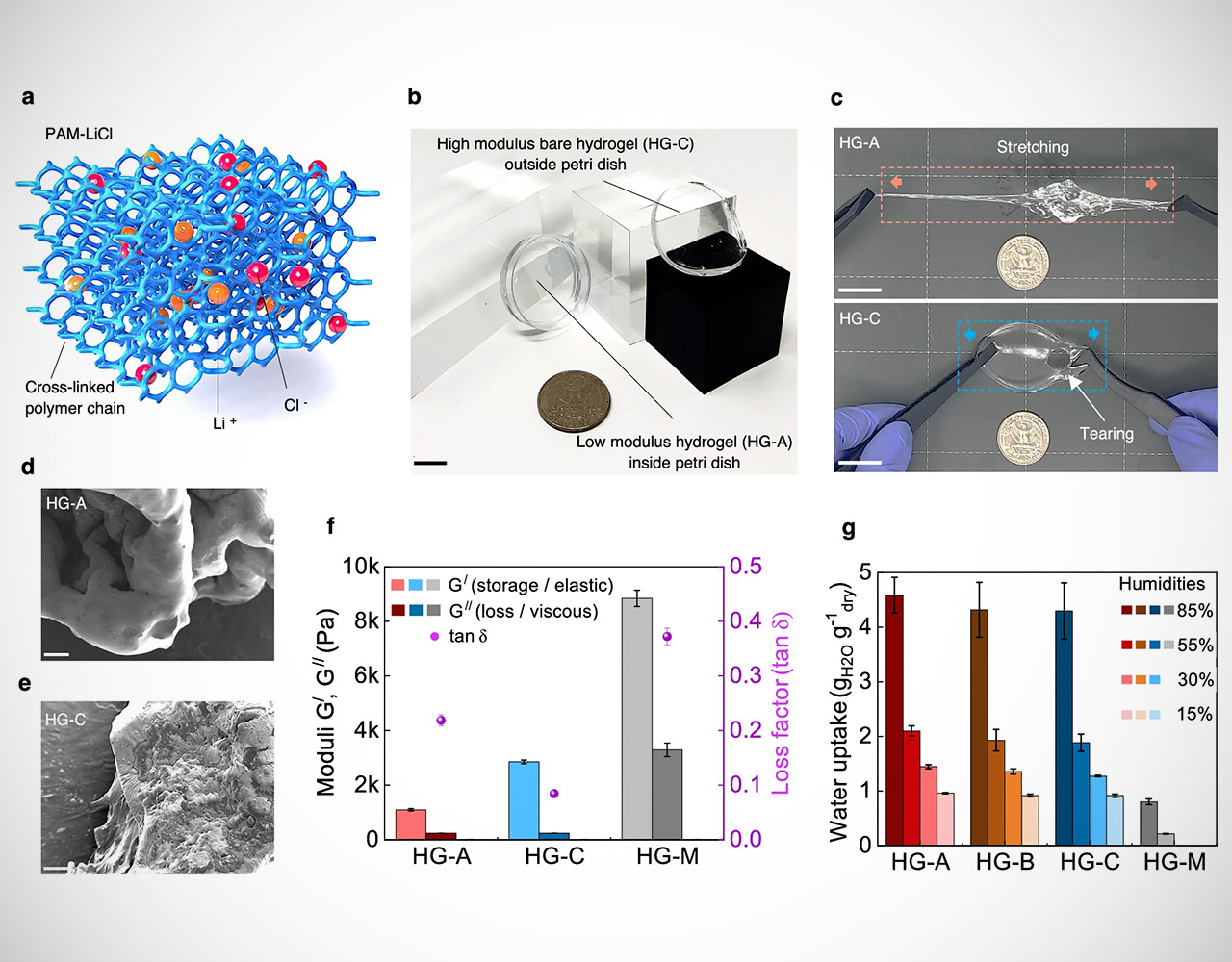 MIT Ultrasonic Device Water Harvesting Air