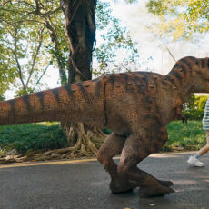 LimX Dynamics Walking Robot Dinosaur